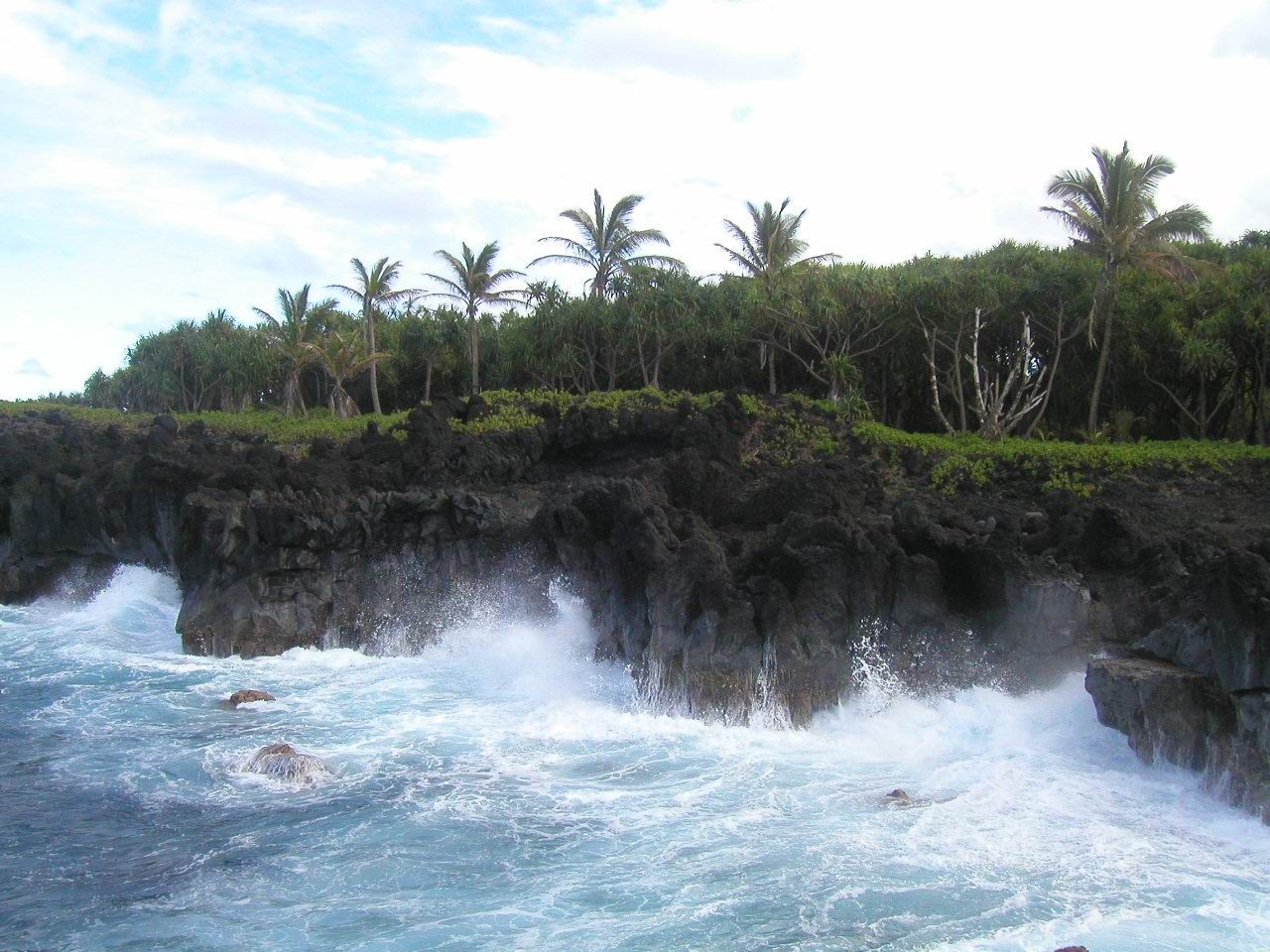 Havaj
Pobřeží s palmami